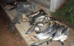 pescado apreendido no Parana