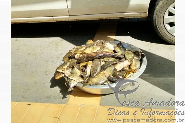 Dois são autuados pescando com redes no Tietê em Barbosa-SP