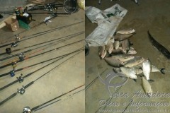 pescado e material de pesca apreendidos no interior do MT 2