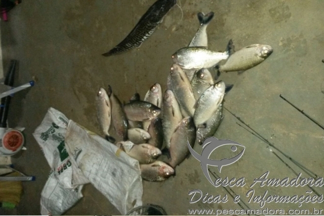 PMA apreende pescado ilegal e material de pesca no interior do MT