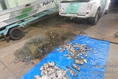 pescado e tarrafas apreendidos pela PMA em Sao Jose do Rio Preto-SP