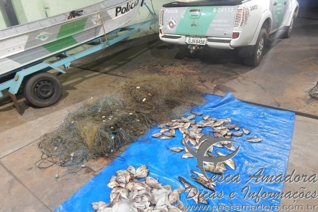 PMA apreende tarrafas e pescado durante fiscalização em São Jose do Rio Preto-SP