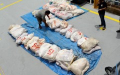 pescado ilegal apreendido pelo DEMA no Amazonas