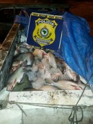 pescado irregular de pocone-MT