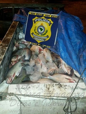 Fazendeiro de Poconé-MT é preso por transportar 1 tonelada de pescado ilegal