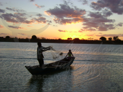 Pescador explora apenas 100 espécies de peixe dos mais de 3 mil existentes nos rios amazonenses