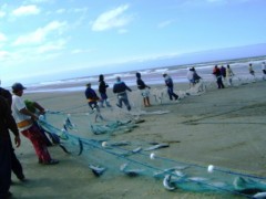 pescadores artesanais da colonia Z-33
