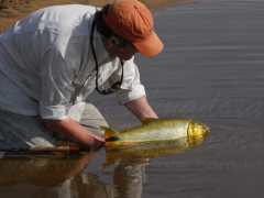 Pesque e solte - Pescador soltando um dourado após a captura