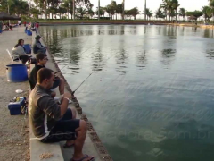 Pesque e solte - Pesqueiros nao inibem pesca excessiva