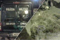 pma apreende 500m de rede no RJ