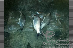 pma apreende material ilegal de pesca no rio iguacu no PR