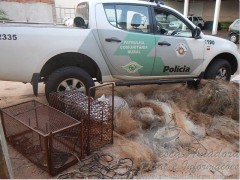 pma apreende tarrafas e armadilhas em Florida Paulista-SP