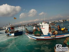 protesto de pescadores espanois