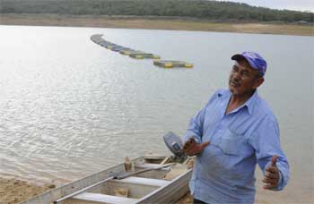Aquicultura brasileira cresce 30% ao ano, turbinada pelo consumo de peixe