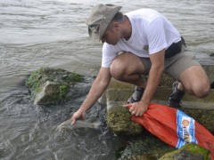 puca apreendido no litoral do RS 2