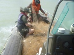 rede apreendida em Vitoria-ES