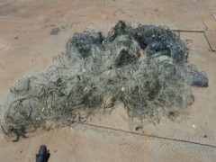 redes apreendidas em operacao no MS