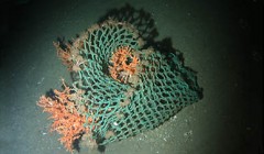 Redes de pesca e linhas sao encontrados aos montes no fundo do mar