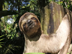 reserva de sao sebastiao 03