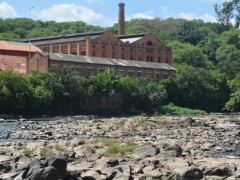 Seca do rio ocasionou formação de poças e gerou mortandade de peixes (Foto: Thomaz Fernandes/G1)