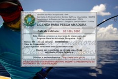 sobre-a-arrecadacao-das-licencas-de-pesca