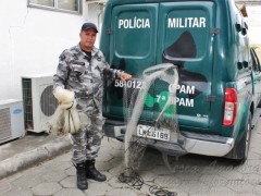 tarrafas apreendida pela Pma de Marica-RJ