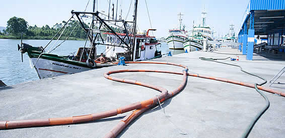 Terminal pesqueiro de Cabedelo chama atenção de grandes indústrias