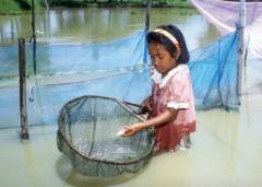 ONU destaca atuação do Brasil no combate ao trabalho infantil na pesca