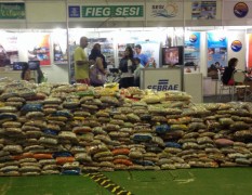 Tres mil toneladas de alimentos não pereciveis foram arrecadados no evento