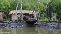 vazamento de oleo no Niger em 2008 2